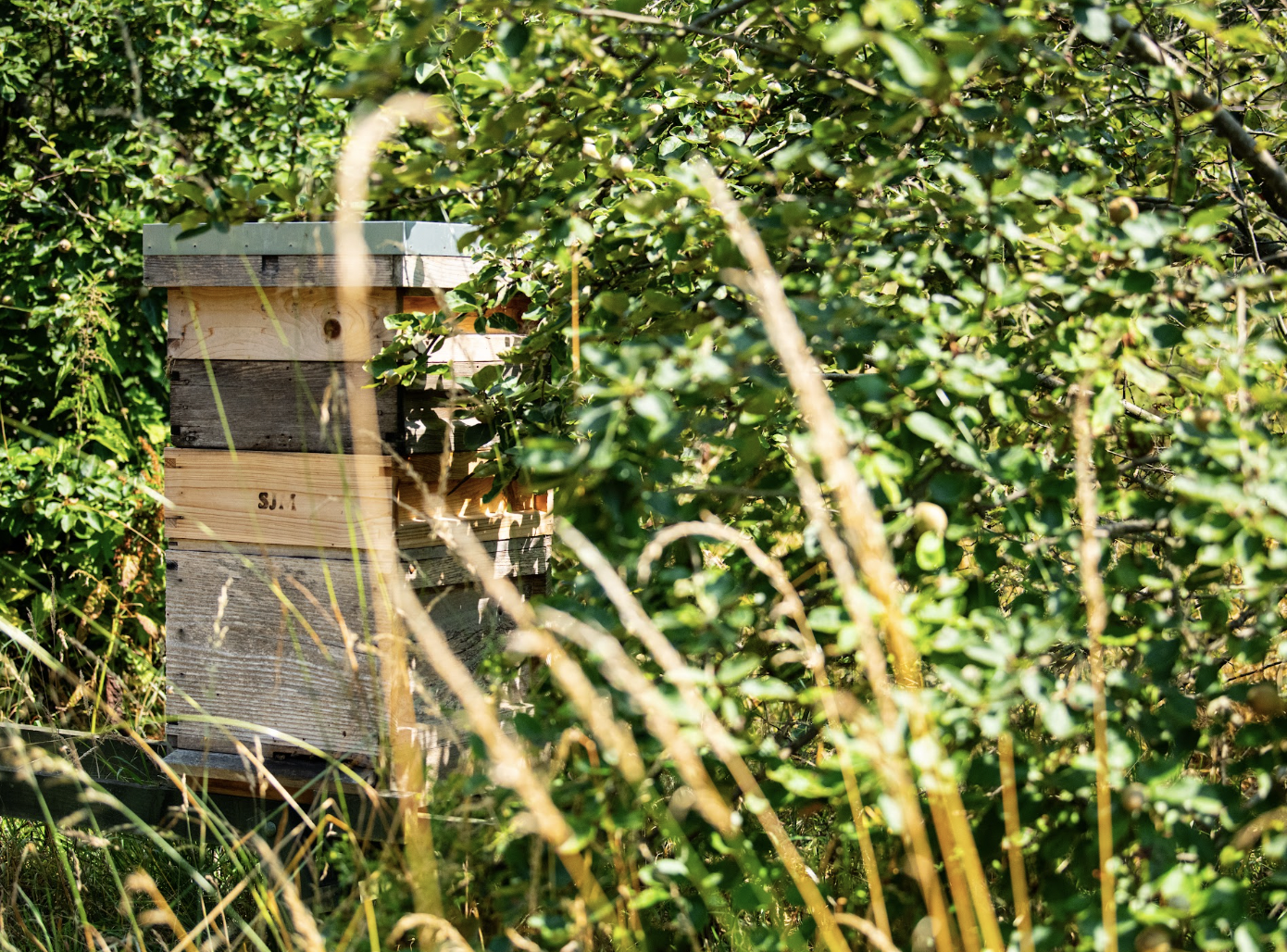 Local Devon Honey, Heron Farm Vineyard - Image 5