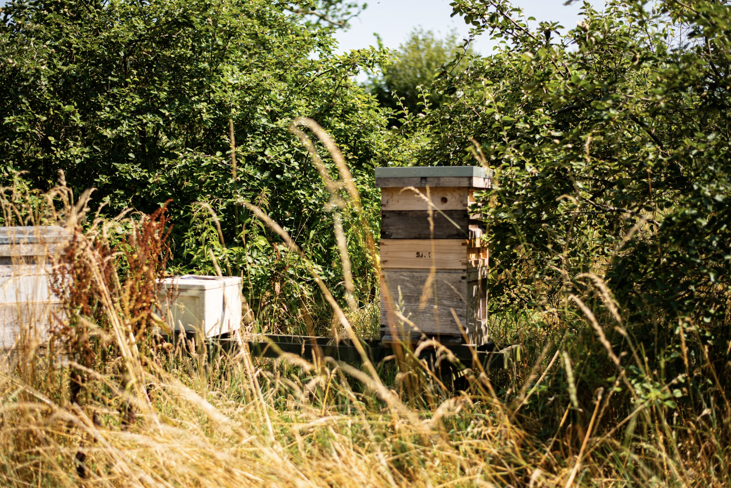 Local Devon Honey, Heron Farm Vineyard - Image 4