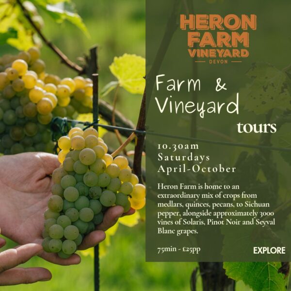 Heron Farm & Vineyard Tour