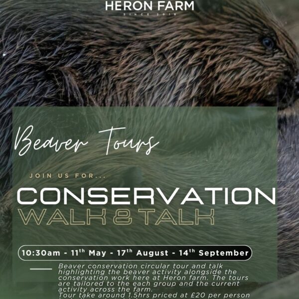 Beaver Conservation Circular Tour & Talk