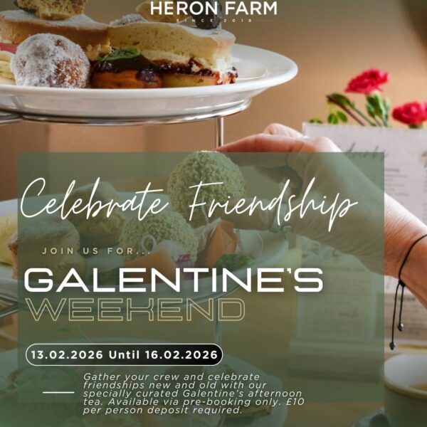 13th - 16th Feb - Galentine's Weekend