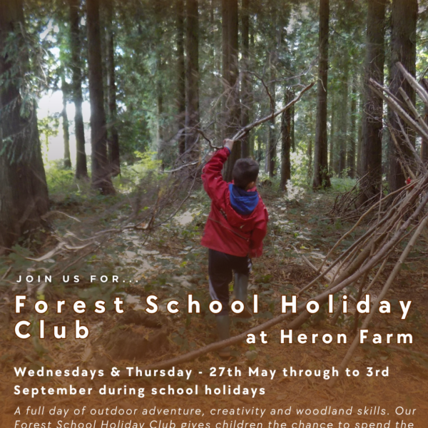 Forest School Holiday Clubs