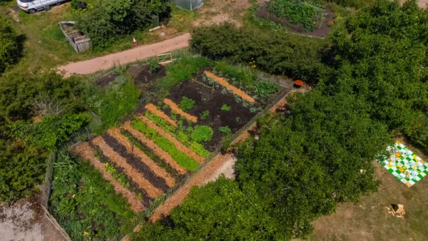 Local grown produce in Honiton, Devon at Heron Farm