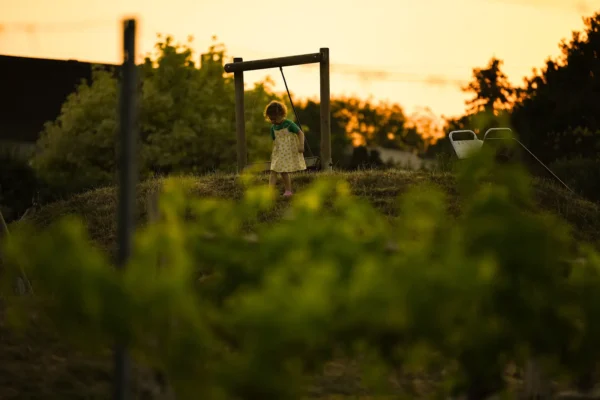 Child in outdoor play park at Dusk at Heron Farm, Honiton, Devon