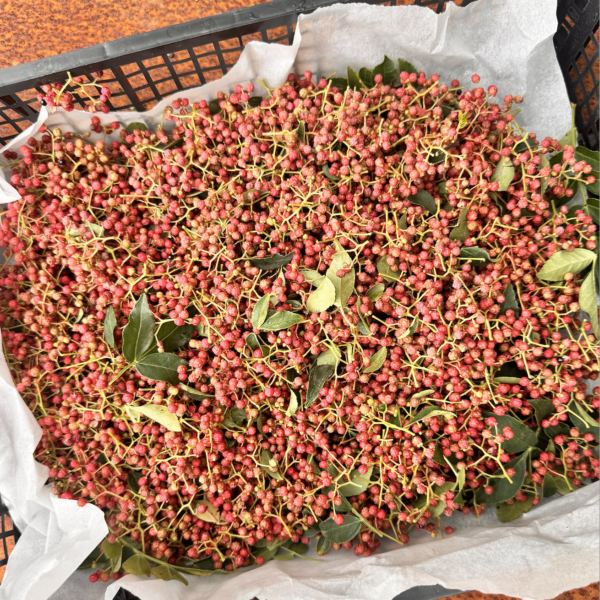 Szechuan (Sichuan) Pepper - 100g