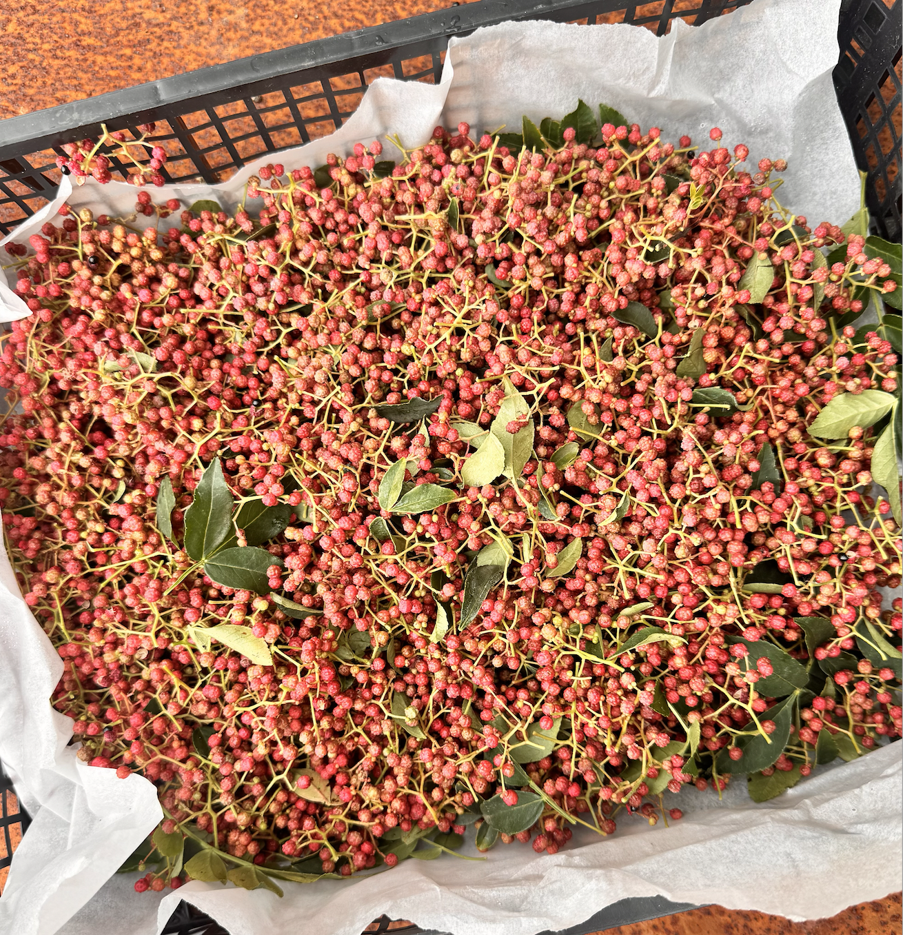 Szechuan (Sichuan) Pepper - 100g